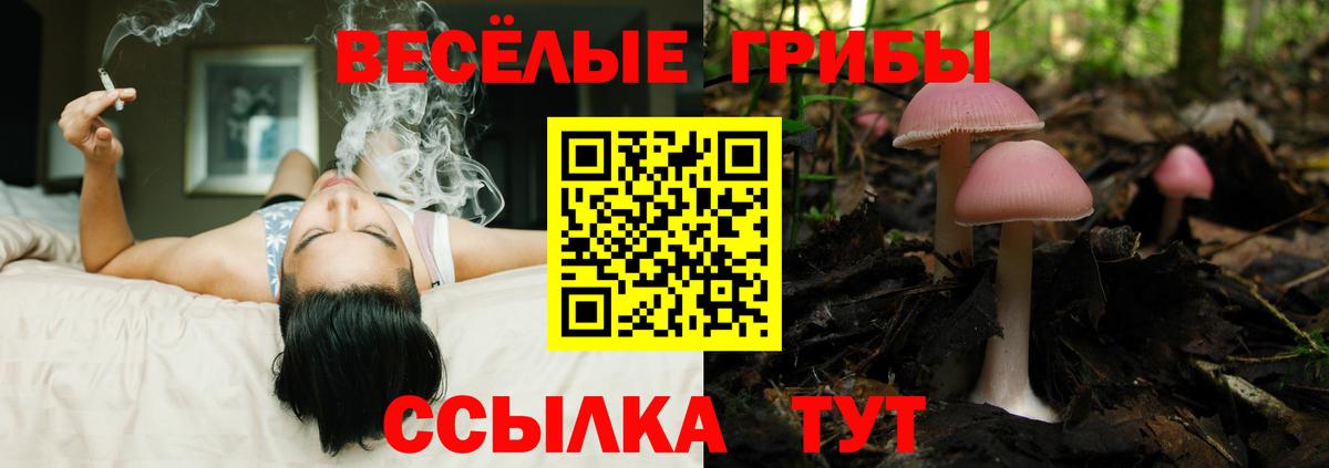 Ирбит  Галлюциногенные грибы мухоморы  Галлюциногенные грибы мицелий  продажа наркотиков  Вход с VPN 